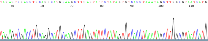 https://dnacore.mgh.harvard.edu/new-cgi-bin/site/pages/sequencing_pages/seq_troubleshooting.jsp